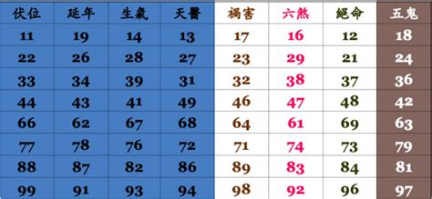 生天延數字組合|易經數字DNA解析